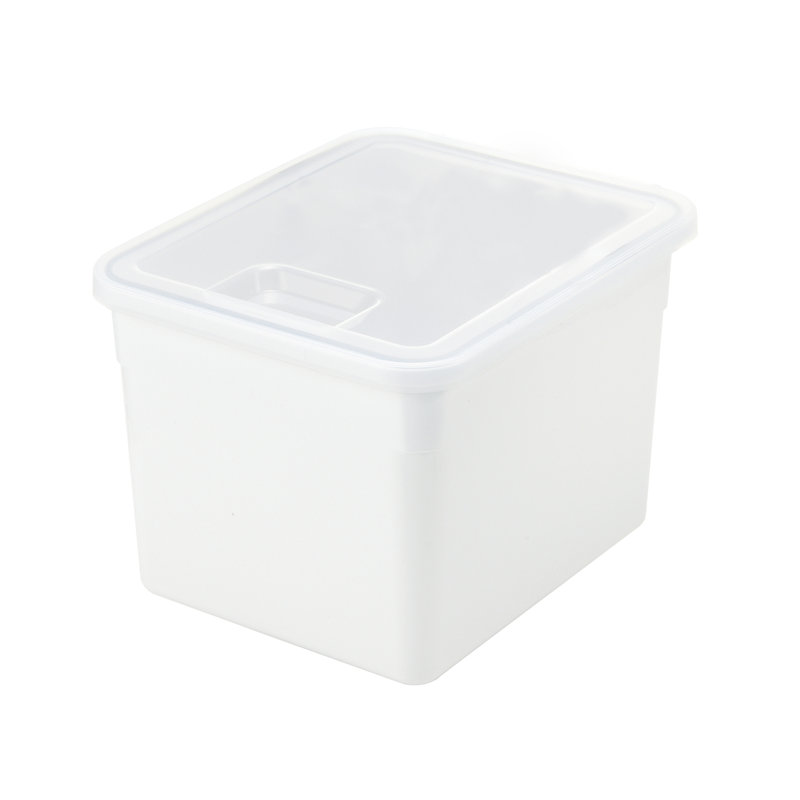 Plastic Food Storage Container, 4.2