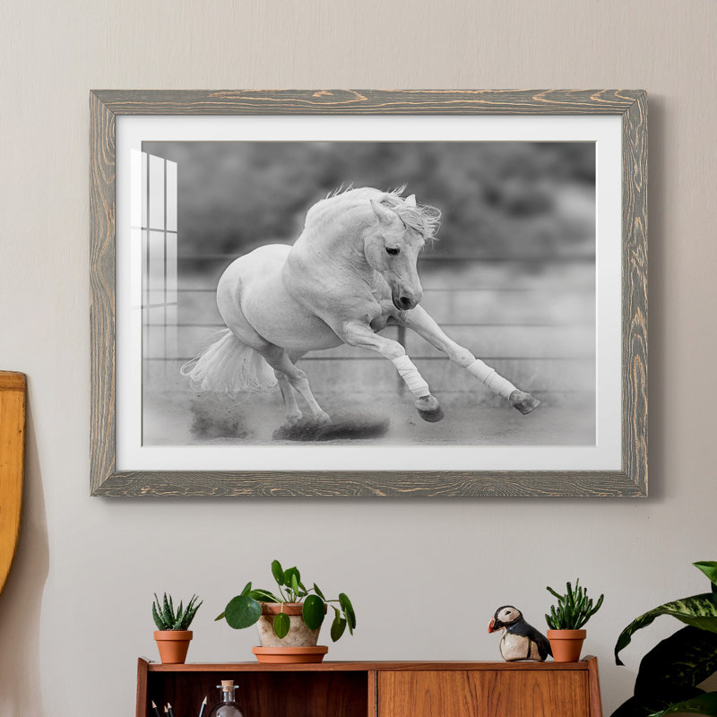 «All for Show» - Impression de cadre photo sur papier, Papier avec cadre gris, H 31,5 po x l 23,5 po x P 1,5 po