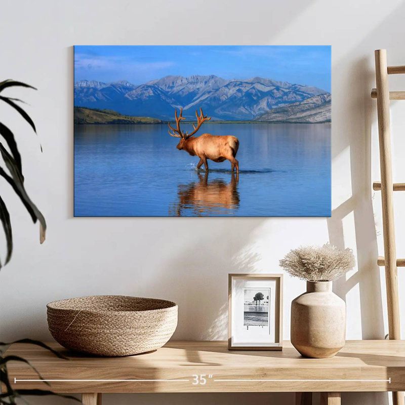 Élan du lac Jasper, H 16 po x l 24 po