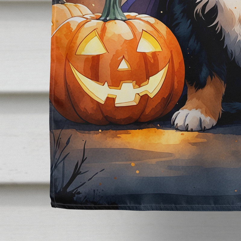 Drapeau de chiot Halloween House, Bouvier bernois