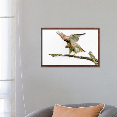 Stretch 1 Piece Wall Art on Canvas