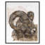Bighorn Sheep 2 Print by Maeve Harris-1942555069-1942555070