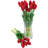 Tulip Arrangement