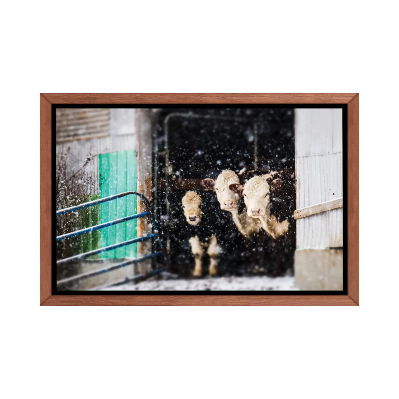 «Barnyard Winter», reproduction d'art encadrée, H 18 po x l 26 po x P 1,5 po, Cadre bois classique