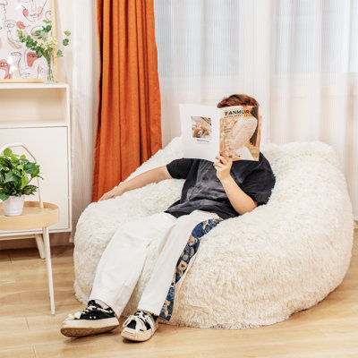 Faux Fur Classic Bean Bag by Recaceik