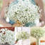 10-Pieces Baby's Breath Centerpiece (not include vase)