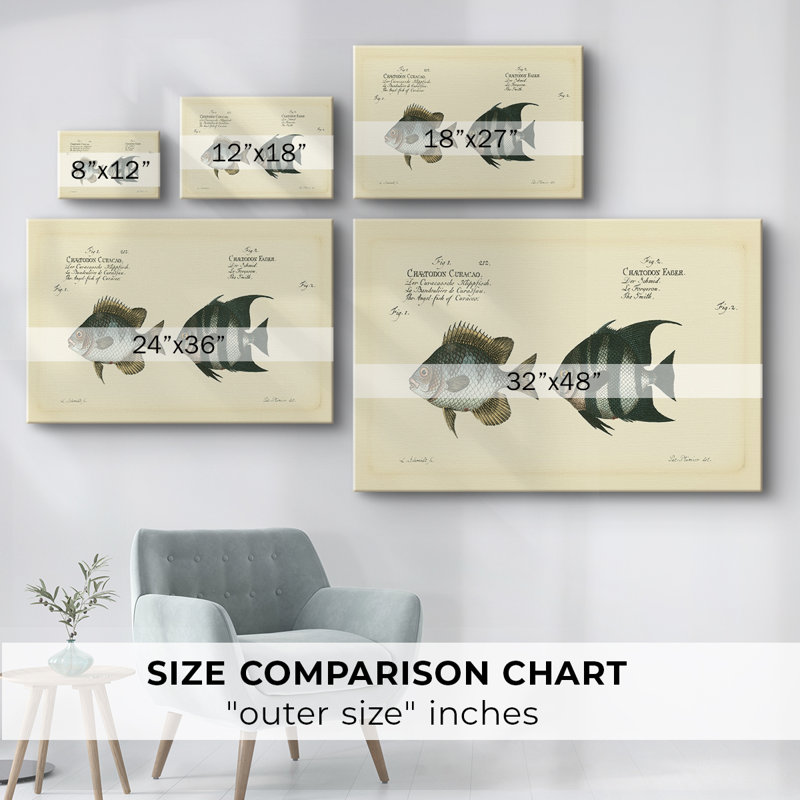 Bloch poisson antique II - galerie Cavas enveloppé, 12 x 18
