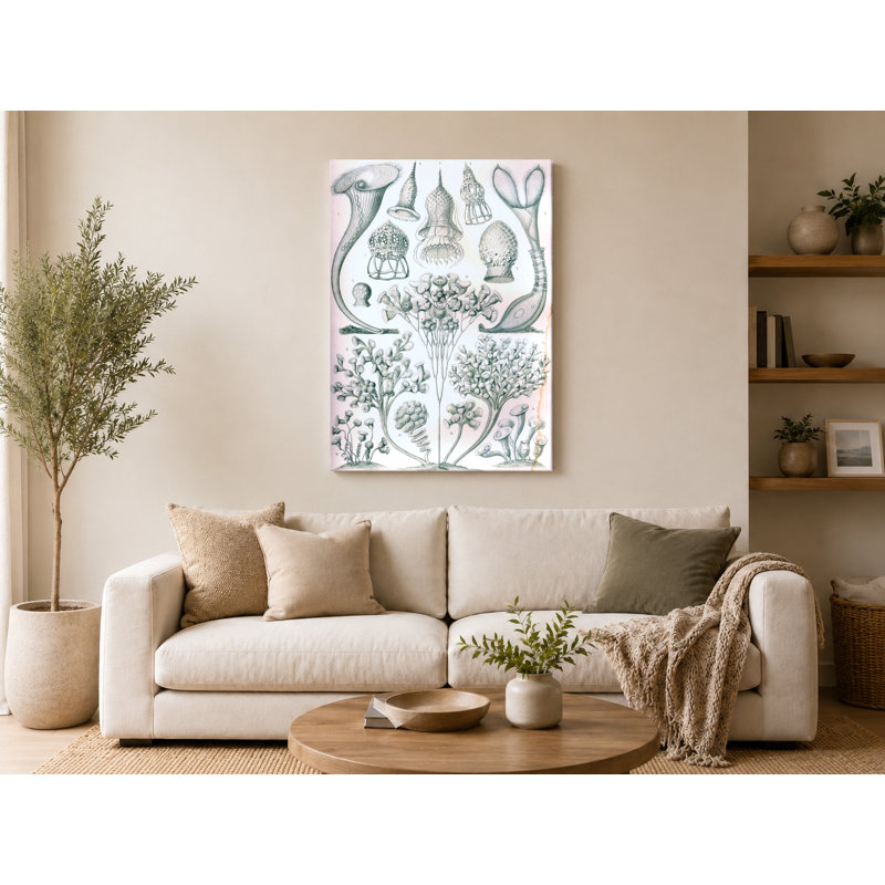 Ciliata (planche 71, art de la nature, 1904) - art mural sur toile, 18" W x 12" H
