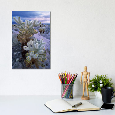 Teddy Bear Cholla Under Stormy Skies, Joshua Tree National Park 1 Piece Wrapped Canvas Wall Art