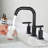 2-handle Bathroom Faucet-67081260