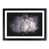 Black Framed selected