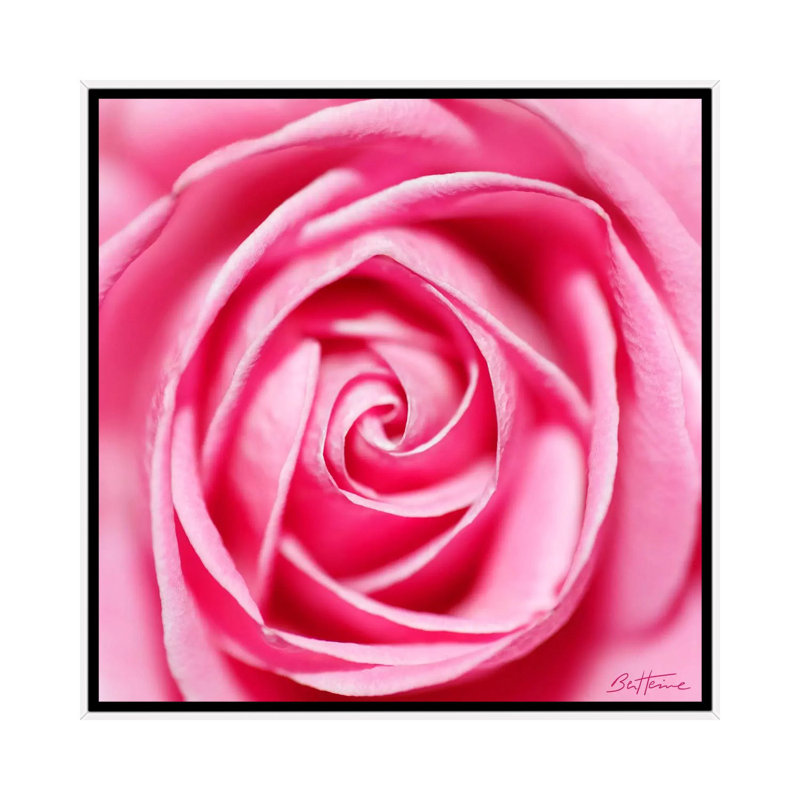 Petal By Petal by Ben Heine - Print on Canvas, 66.04 cm H x 66.04 cm W, White Framed