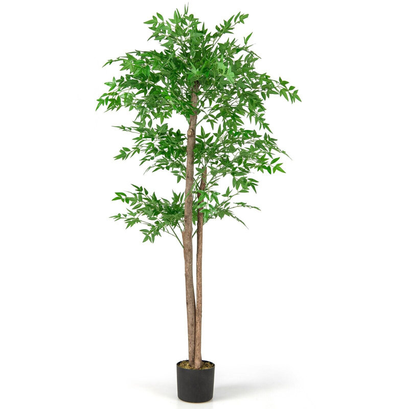 Aniceto 160cm Plant