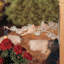 Cardinal Nature Bracket-1690348972