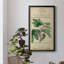 Linnaean Botany VI - Peinture sur toile encadrée-545916261-545916281