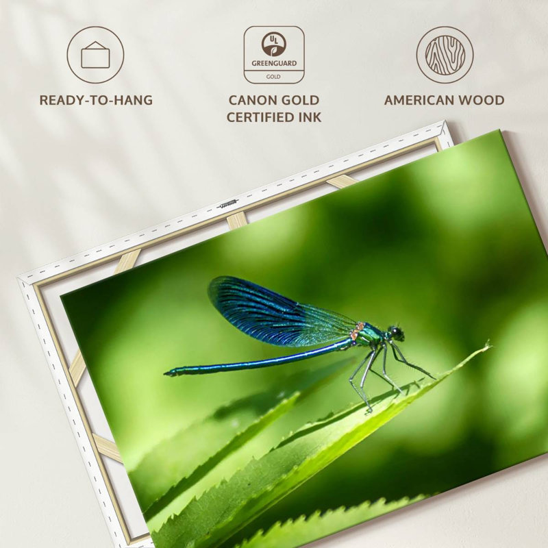 Brampt Dragonfly On A Leaf, 34" H x 51" W