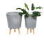 Ensemble de pots à fleurs en métal 2 pièces Annis-1329659534