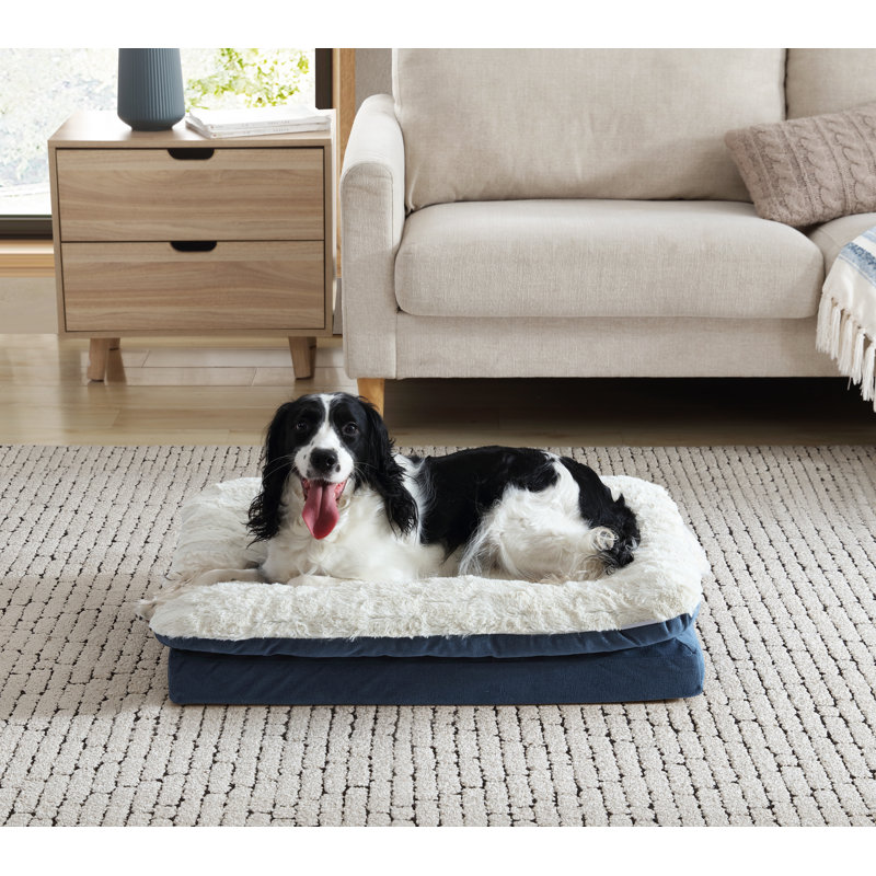 Lit orthopédique pour animaux Archie & Oscar ™ Home & Pet, H 7 po x l 30 po x P 20 po, Bleu
