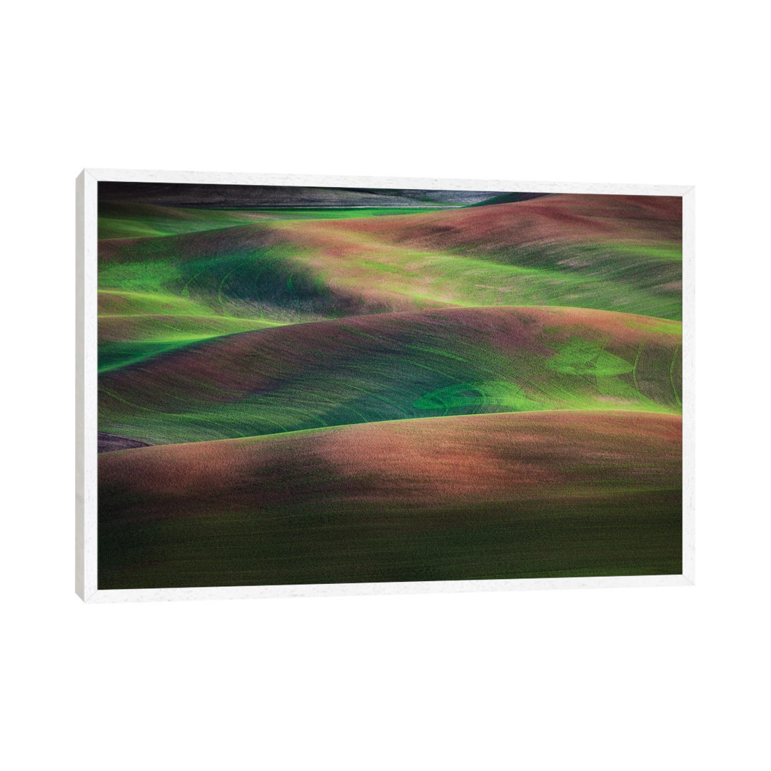 Springtime, The Palouse, Washington von Jim Nilsen - Galerie-umwickelte Leinwand Giclée auf Leinwand