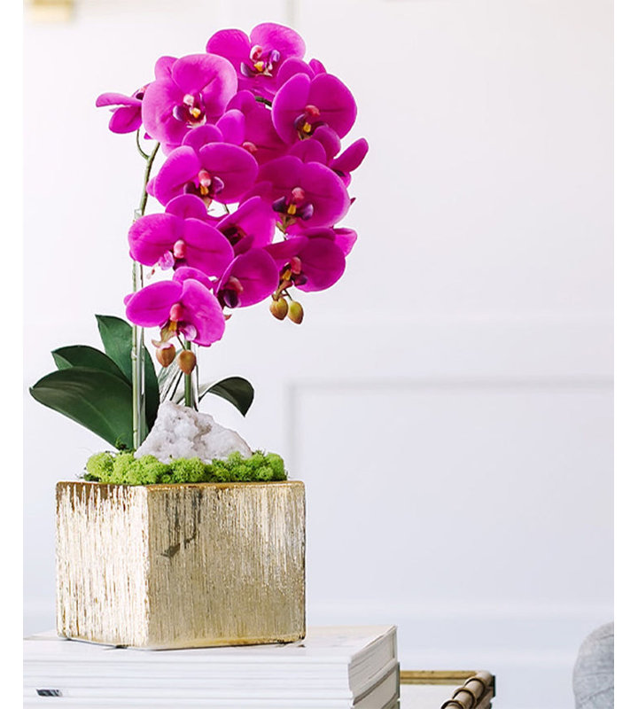 Elegant Green Orchid 21'' Floral Arrangement in Ceramic Planter