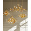 Lunaria 6 - Light Chandelier-136117318