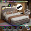 Storage Bed-2028349231