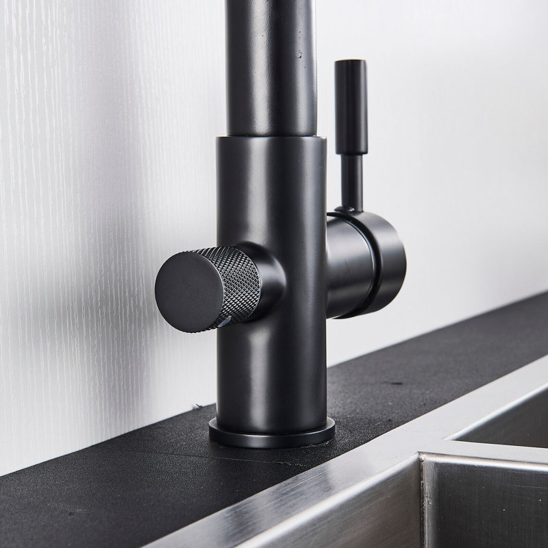 Belfry Kitchen Armana Kitchen Faucet