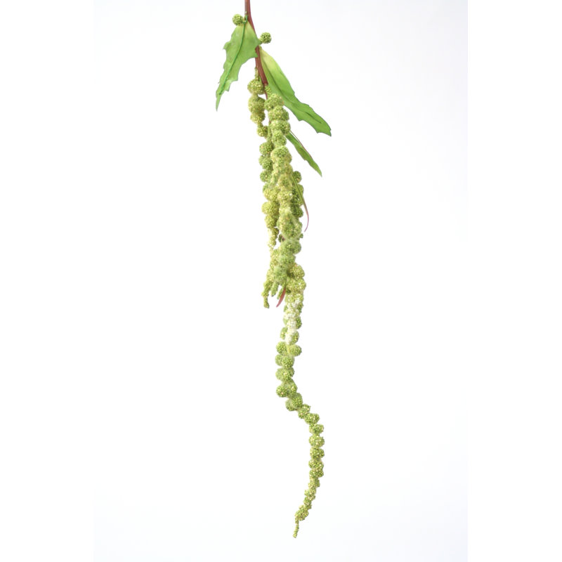 Jet de amaranthus suspendu artificiel à feuillage diy, Sauge vert