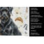 Torchon noir noir Terrier russe-1234934457