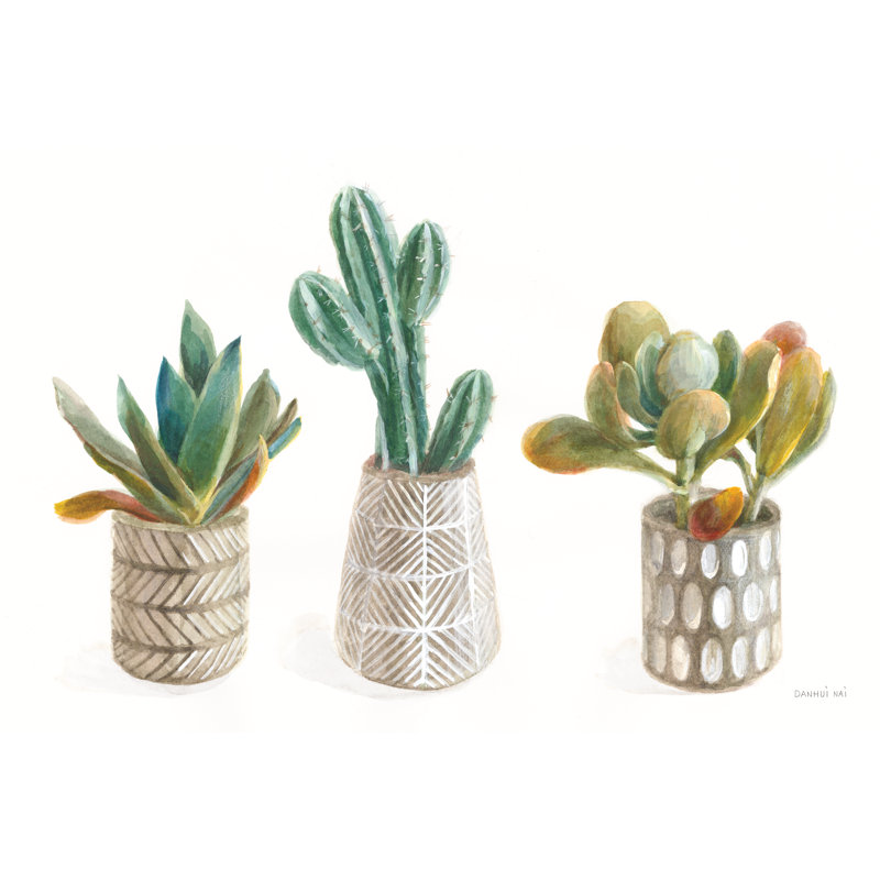 Desert Greenhouse VI 1 Piece Wrapped Canvas Wall Art, 30cm H x 46cm W x 3.8cm D