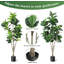 Figuiers artificiels, grandes fausses plantes de ficus lyrata-1364014473