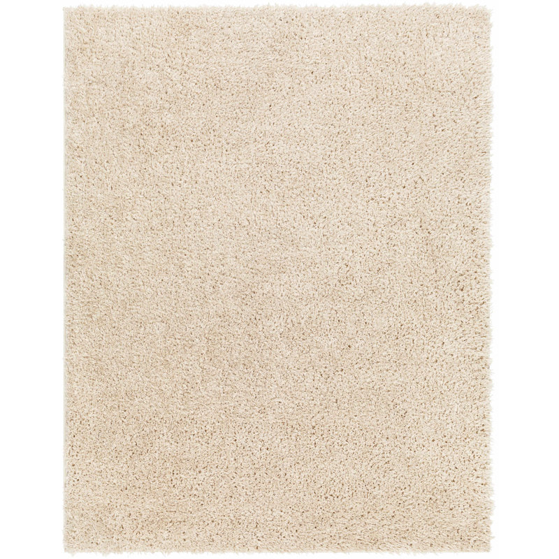 Cristiona Shag Indoor Rug, Rectangle 4' x 5'7"