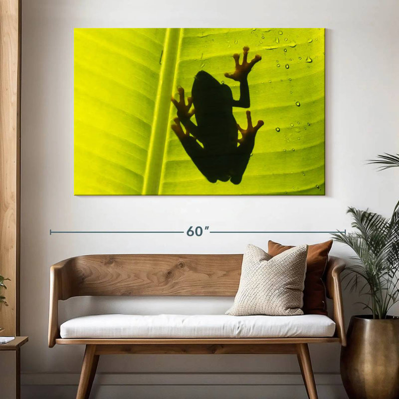 Crowle Frog On Leaf