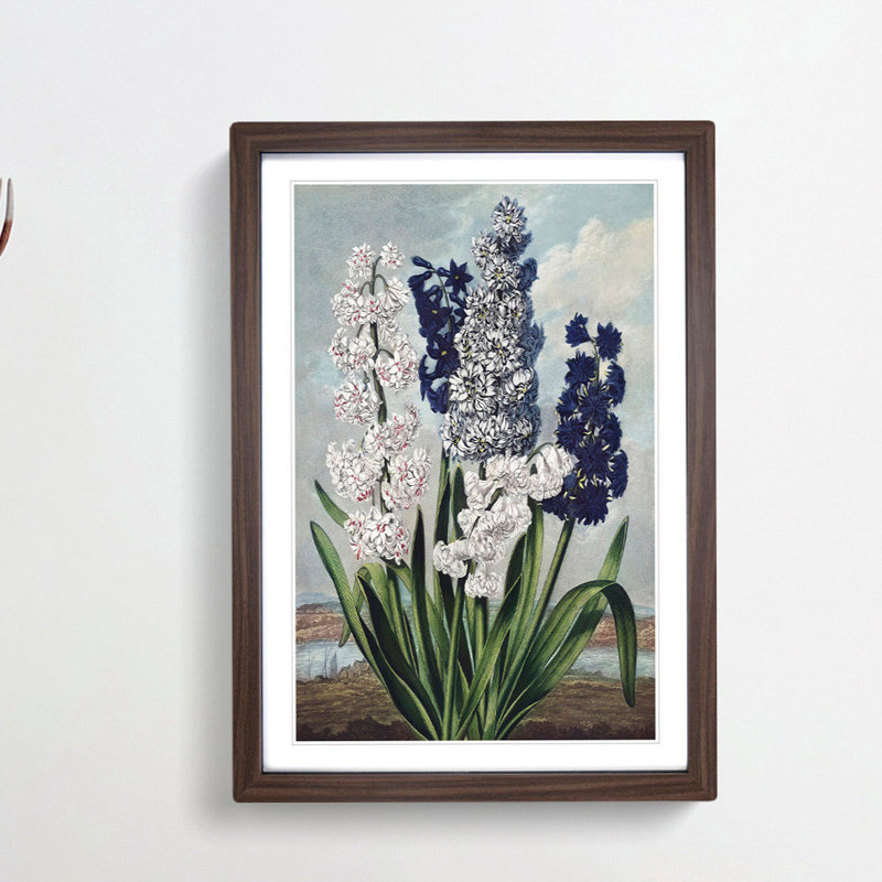 Hyacinths by R.J. Thornton - Picture Frame Painting Print, Walnut Framed, 48cm H x 36cm W x 2cm D