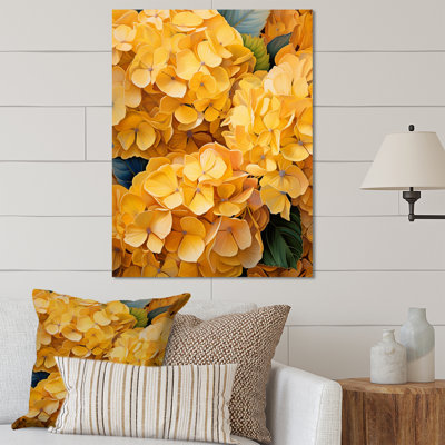" Yellow Hydrangea Golden Radiance "
