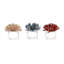 Brilliant Napkin Ring-33813718
