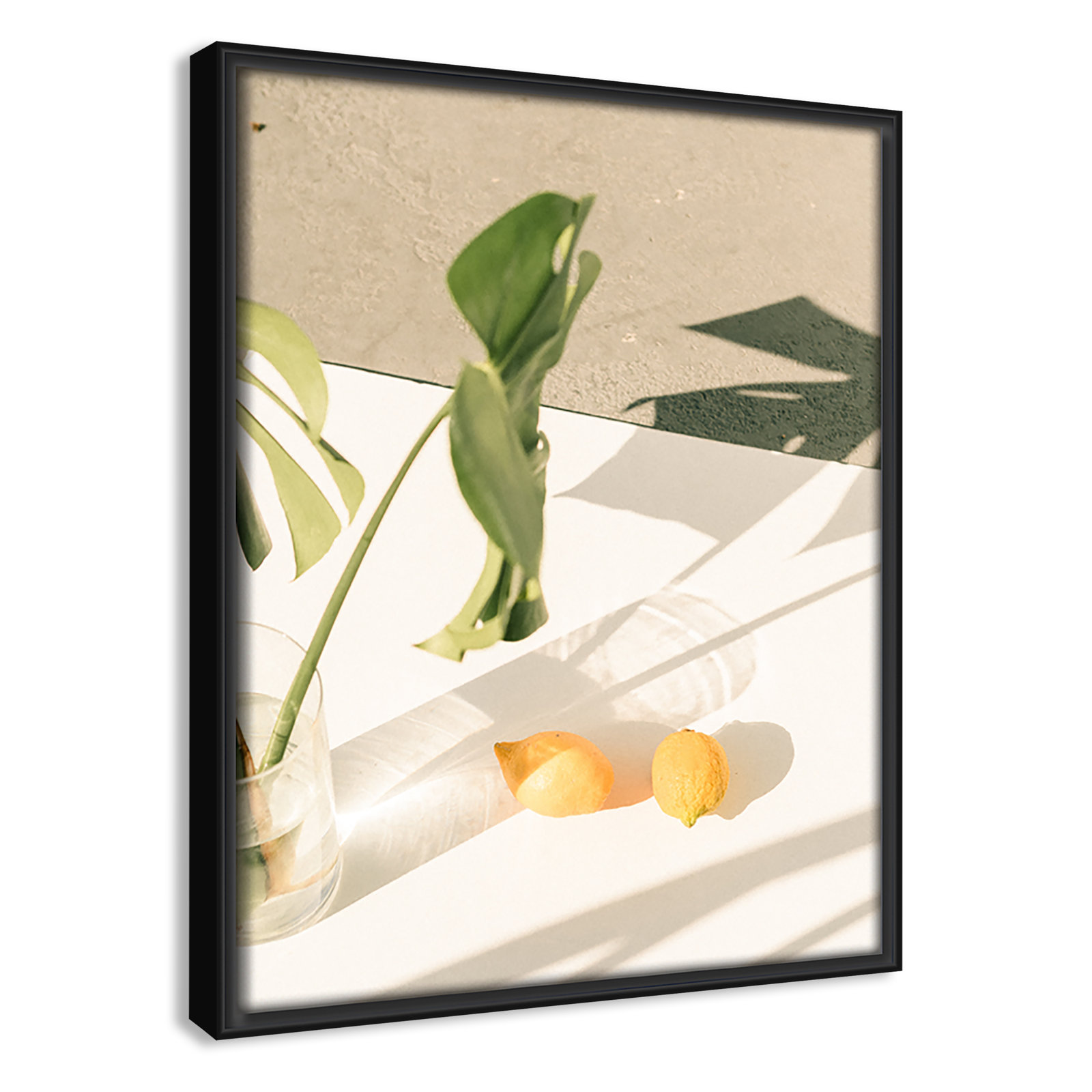 Citrus and Palms Print, 11.5'' H x 9.5'' W x 2'' D, Black Framed