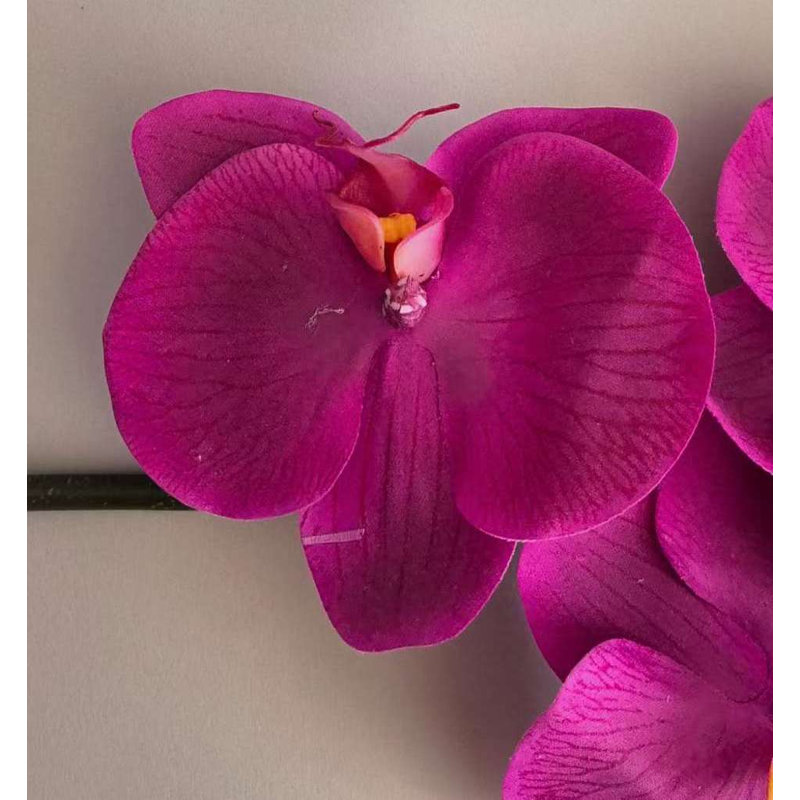 ORCHIDÉE FRESH-TOUCH NAT.TCH PHA. X8F 31 po, Hot Pink
