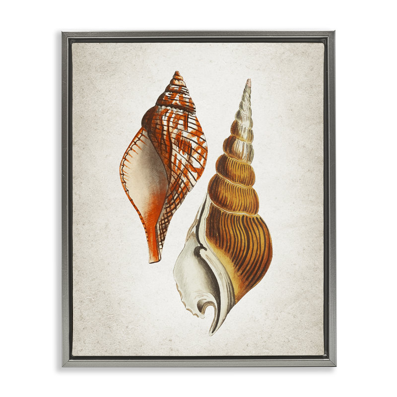 «Twin Spiral Seashells Floater», art mural par Kim Allen, H 21 po x l 17 po, Cadre flottant gris lustré