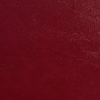 Ehsen Faux Leather Fabric