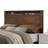 Mcmaster Platform Storage Bed-1888445636