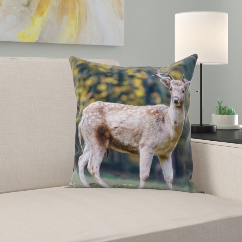 Coussin décoratif nature