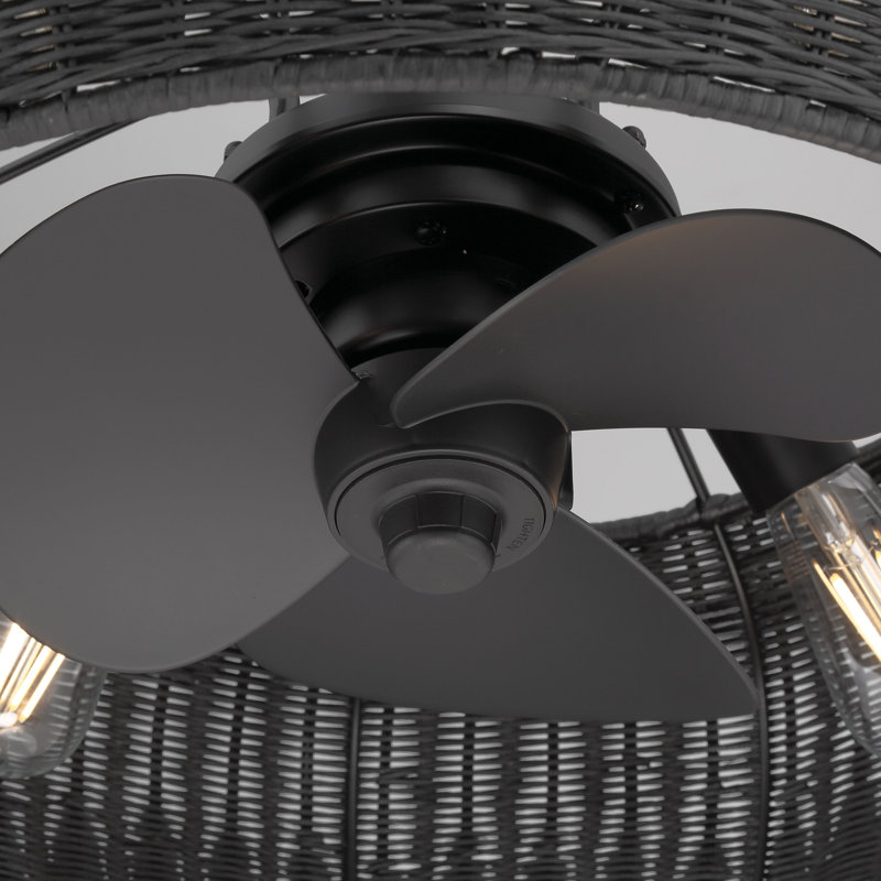 Ayane 12'' Ceiling Fan with Light Kit, Black, Matte Black
