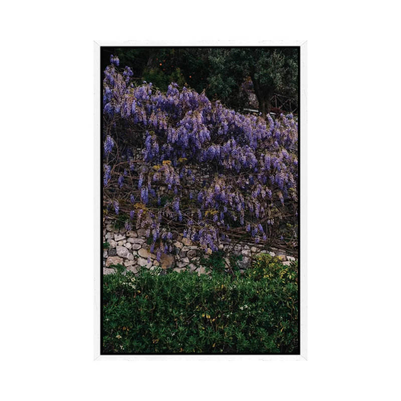 Amalfi Coast Blooms V by Bethany Young - Print on Canvas, 101.6cm H x 66.04cm W x 3.81cm D, White Framed