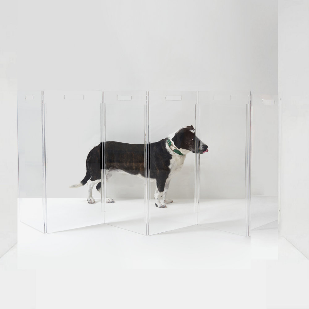 Tall Zig Zag Clear Pet Gate, 6-Panel