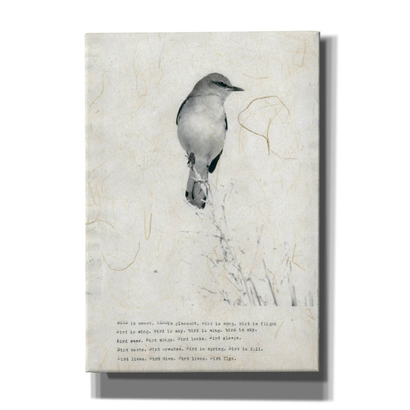 «Bird Is Sweet» sur toile par TypeLike Print, H 26 po x l 18 po x P 0,75 po
