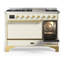 Majestic III Series 48 Inch Dual Fuel Range with 5 Sealed Burners, Griddle, Frenchtop in Matte Graphite (Natural Gas, Burnished Trim)-1387864832-1387864835-1387864894