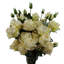 Plastic, Silk Artificial Arrangement-88685035