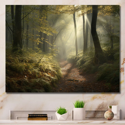 Forest Landscape Canvas Wall Art, Misty Woodland Trail Print - Misty Trail in the Woods I