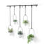Hanging Planter with 5 pots-70896952